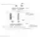 Fig. 06 - Flow cache based mechanism of packet redirection in multiple border routers for application awareness