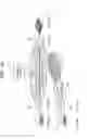 Fig. 44 - COMMUNICATION SYSTEM, CONTROL APPARATUS, AND STORAGE MEDIUM