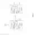 Fig. 34 - Electronic mail user interface