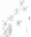 Fig. 04 - Just in time polymorphic authentication