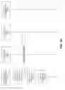 Fig. 12 - Just in time polymorphic authentication