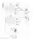 Fig. 03 - Synchronization of permissioned content in cloud-based environments