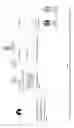 Fig. 02 - Method to mute automatically phone calls on mobile communication device