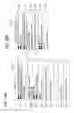 Fig. 11 - Image forming apparatus