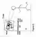 Fig. 06 - Biometric camera mount system