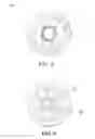 Fig. 03 - Pendant housing for a camera