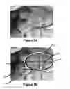 Fig. 05 - Modification of post-viewing parameters for digital images using image region or feature information