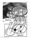 Fig. 06 - Modification of post-viewing parameters for digital images using image region or feature information