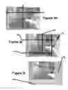 Fig. 09 - Modification of post-viewing parameters for digital images using image region or feature information