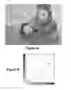 Fig. 12 - Modification of post-viewing parameters for digital images using image region or feature information