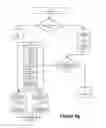 Fig. 13 - Modification of post-viewing parameters for digital images using image region or feature information