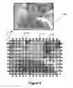 Fig. 19 - Modification of post-viewing parameters for digital images using image region or feature information