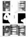 Fig. 06 - System and method for online processing of video images in real time