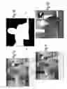 Fig. 18 - System and method for online processing of video images in real time