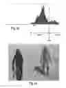 Fig. 20 - System and method for online processing of video images in real time
