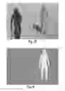 Fig. 21 - System and method for online processing of video images in real time