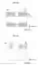 Fig. 03 - Image sensor having depth detection pixels and method for generating depth data with the image sensor