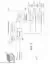 Fig. 03 - Common copy compression