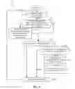 Fig. 09 - METHODS AND APPARATUS TO IDENTIFY REMOTE PRESENTATION OF STREAMING MEDIA