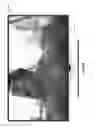 Fig. 27 - Systems and methods for providing social media with an intelligent television
