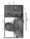 Fig. 31 - Systems and methods for providing social media with an intelligent television