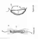 Fig. 03 - Ear-Bud Storage
