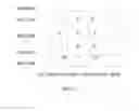 Fig. 04 - Radio network information management method and network device