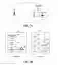 Fig. 07 - Method and apparatus for communicating using unlicensed bands in mobile communication system