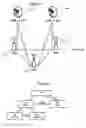 Fig. 02 - Methods communicating radiation pattern information and related network nodes and base stations