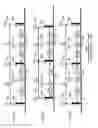 Fig. 07 - Control of quality of service in overlapping basic service sets in wireless local area networks
