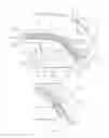Fig. 04 - Curved display and electronic device including the same