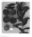 Fig. 01 - Peach tree named 'Supechtwentyone'