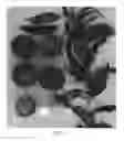 Fig. 02 - Peach tree named 'Supechtwentyone'