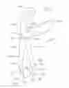 Fig. 02 - GARDENING DEVICES FOR EXTRACTING ROOTS AND RELATED METHODS