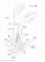 Fig. 04 - GARDENING DEVICES FOR EXTRACTING ROOTS AND RELATED METHODS