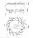Fig. 04 - CROP DEBRIS CLEARING DISC AND DEVICE