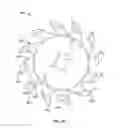 Fig. 10 - CROP DEBRIS CLEARING DISC AND DEVICE