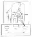 Fig. 01 - Milking box with robotic attacher, vision system, and vision system cleaning device