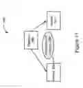 Fig. 11 - Assisted Animal Activities