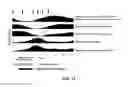 Fig. 12 - Animal Model Expressing Luciferase under Control of the Myelin Basic Protein Promoter (MBP-luci) and Use of the Model for Bioluminescence In Vivo Imaging