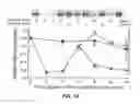 Fig. 13 - Animal Model Expressing Luciferase under Control of the Myelin Basic Protein Promoter (MBP-luci) and Use of the Model for Bioluminescence In Vivo Imaging
