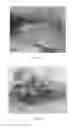 Fig. 08 - PERFUSION SYSTEMS AND METHODS OF PERFUSING AT LEAST A PORTION OF A SMALL INTESTINE