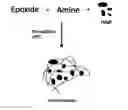 Fig. 01 - METHODS AND COMPOSITIONS FOR POLYMER MATRIX SYNTHESIZED BY POLYCONDENSATION