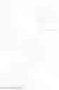 Fig. 45 - Hydrazinyl lipidoids and uses thereof
