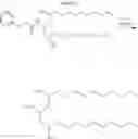 Fig. 71 - Hydrazinyl lipidoids and uses thereof