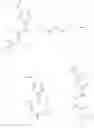 Fig. 46 - Herbicidal compounds