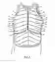 Fig. 03 - Body protector