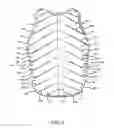 Fig. 04 - Body protector
