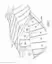 Fig. 07 - Body protector