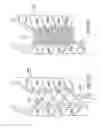 Fig. 16 - Body protector